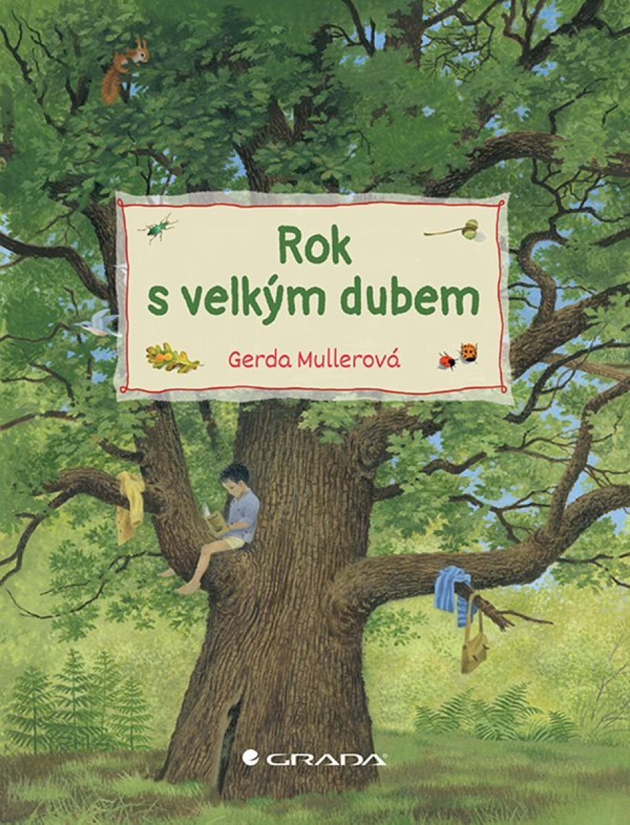 Kniha Rok s velkým dubem