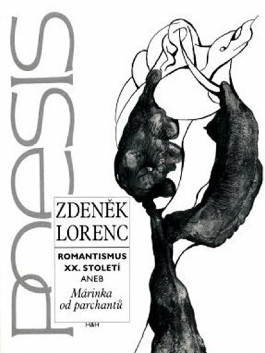 Kniha Romantismus XX. století aneb Márinka od parchantů