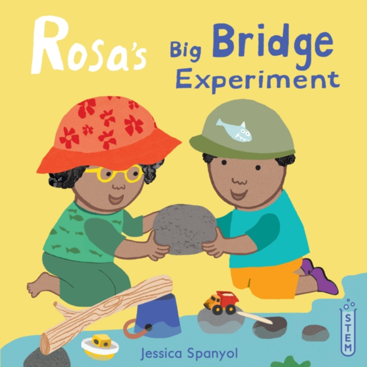 Kniha Rosa's Big Bridge Experiment
