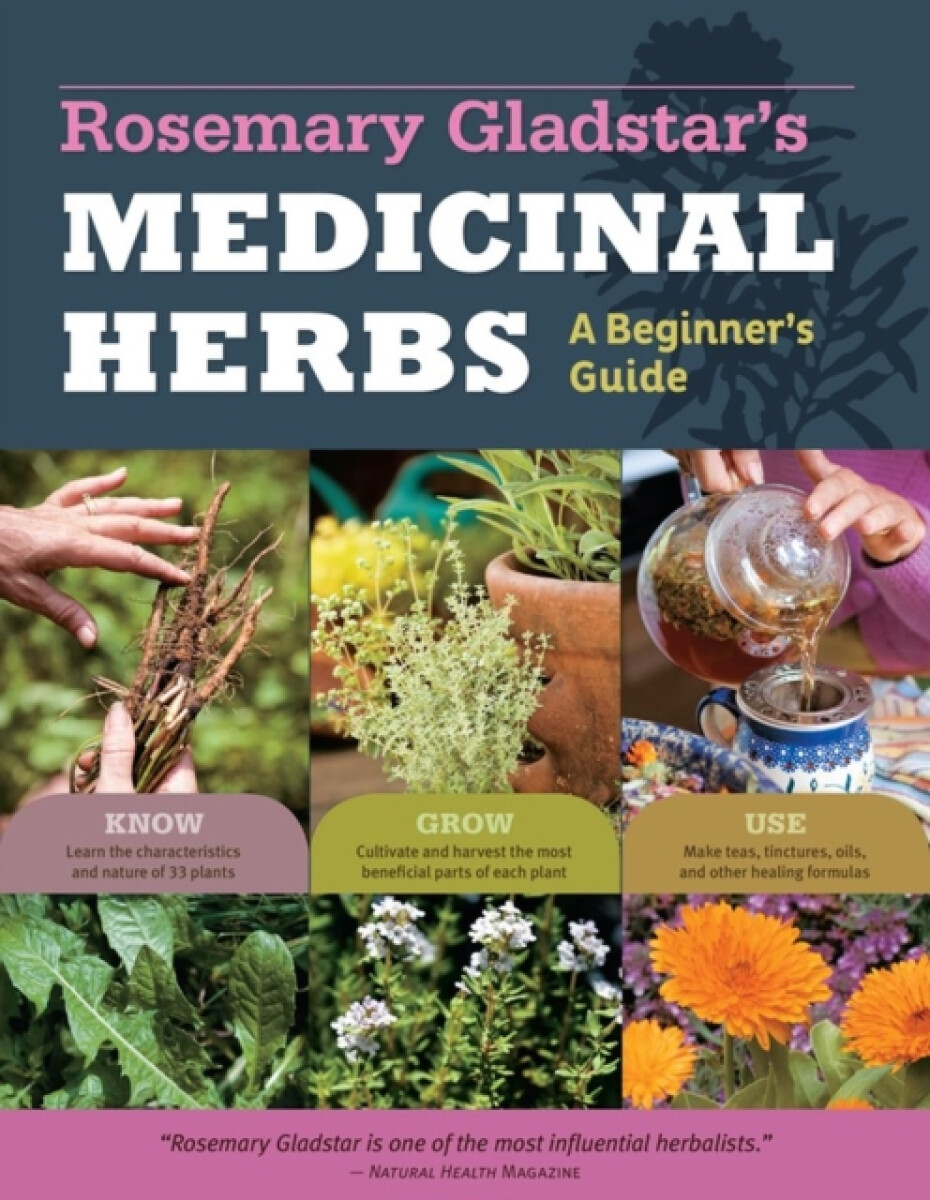 Kniha Rosemary Gladstar's Medicinal Herbs: A Beginner's Guide