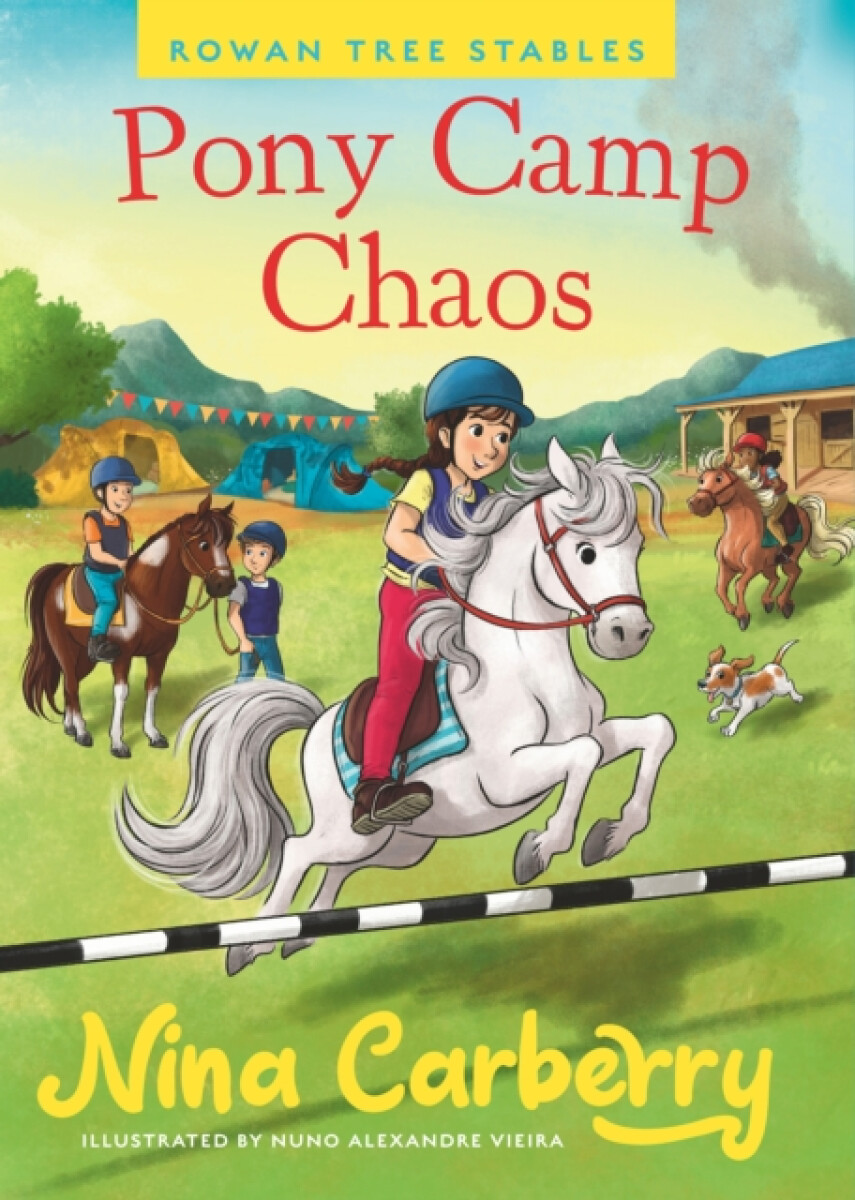 Kniha Rowan Tree Stables 2 - Pony Camp Chaos