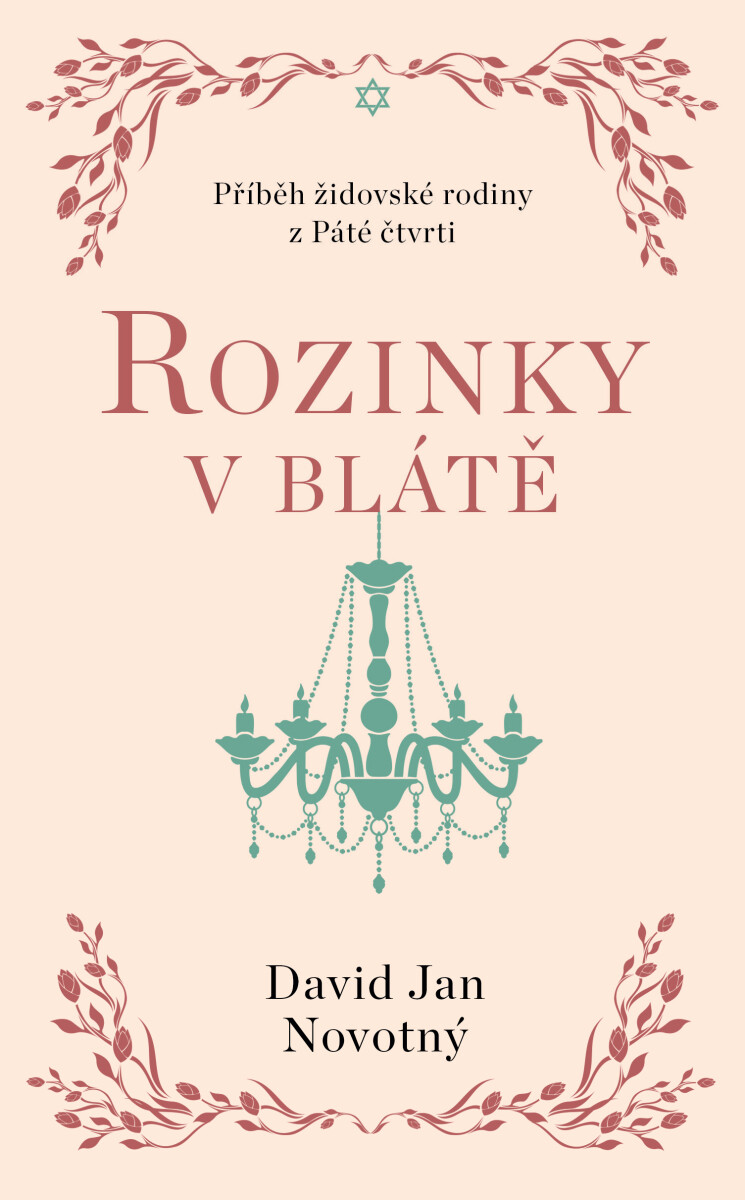 Rozinky v blátě - David Jan Novotný
