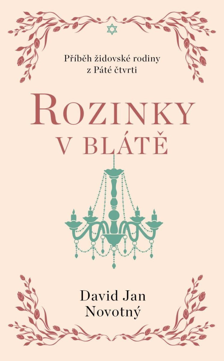 Kniha Rozinky v blátě