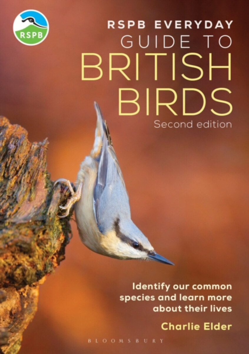 Kniha RSPB Everyday Guide to British Birds