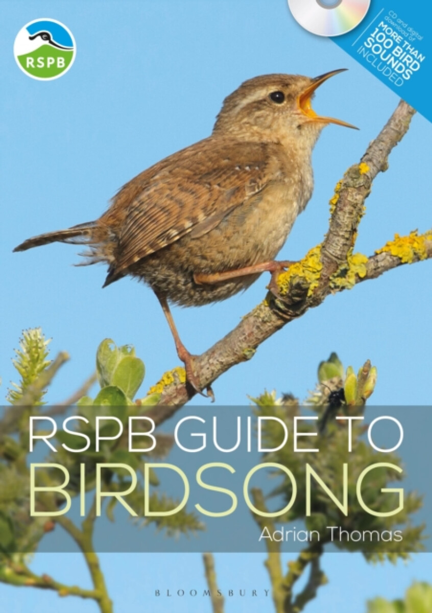 Kniha RSPB Guide to Birdsong