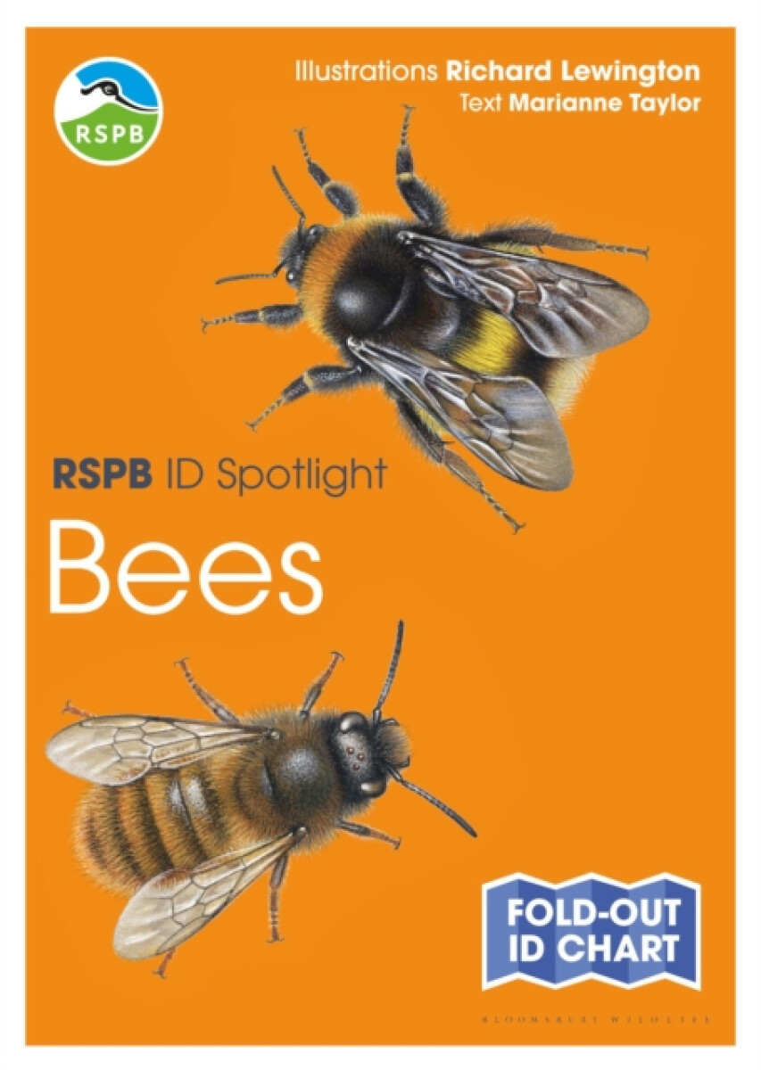Kniha RSPB ID Spotlight - Bees