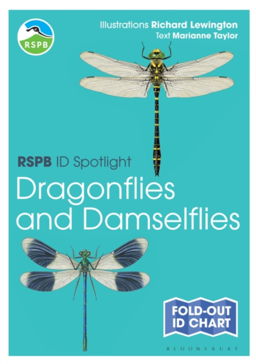 Kniha RSPB ID Spotlight - Dragonflies and Damselflies