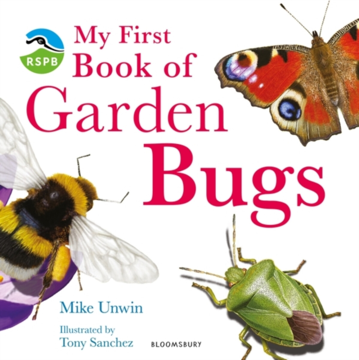 Kniha My First Book of Garden Bugs