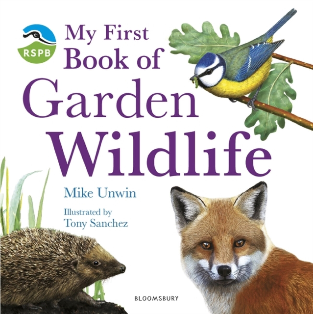 Kniha My First Book of Garden Wildlife