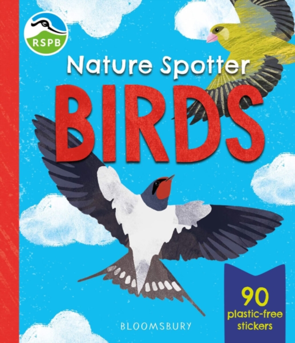 Kniha RSPB Nature Spotter: Birds