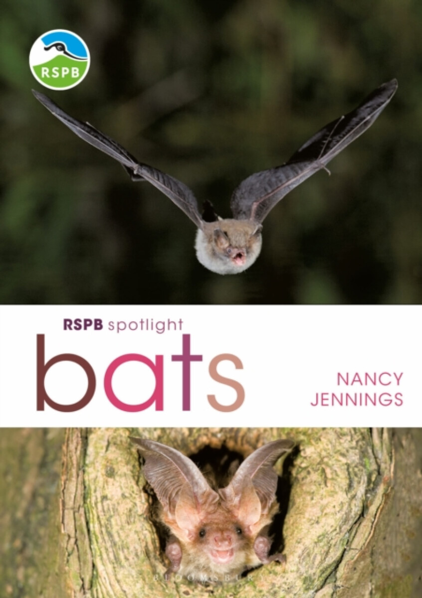 Kniha RSPB Spotlight Bats