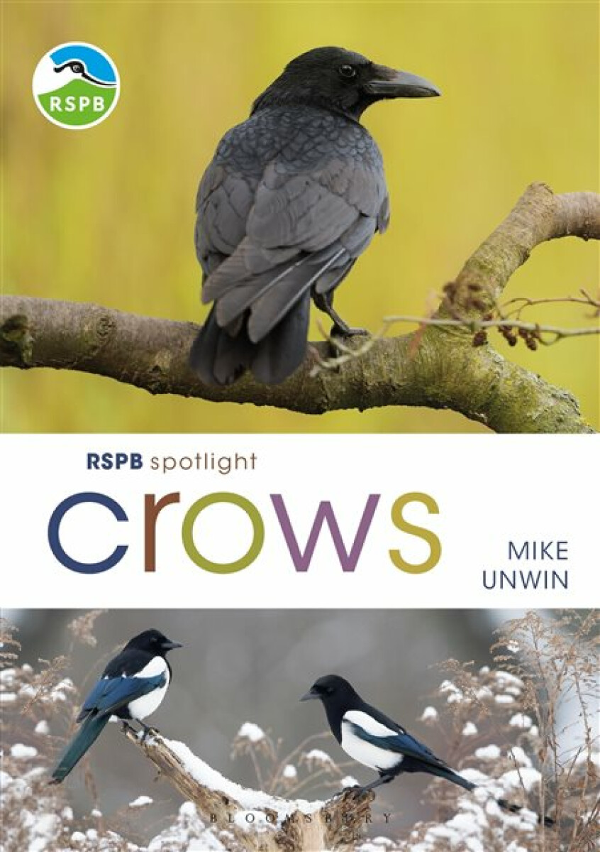 Kniha RSPB Spotlight Crows