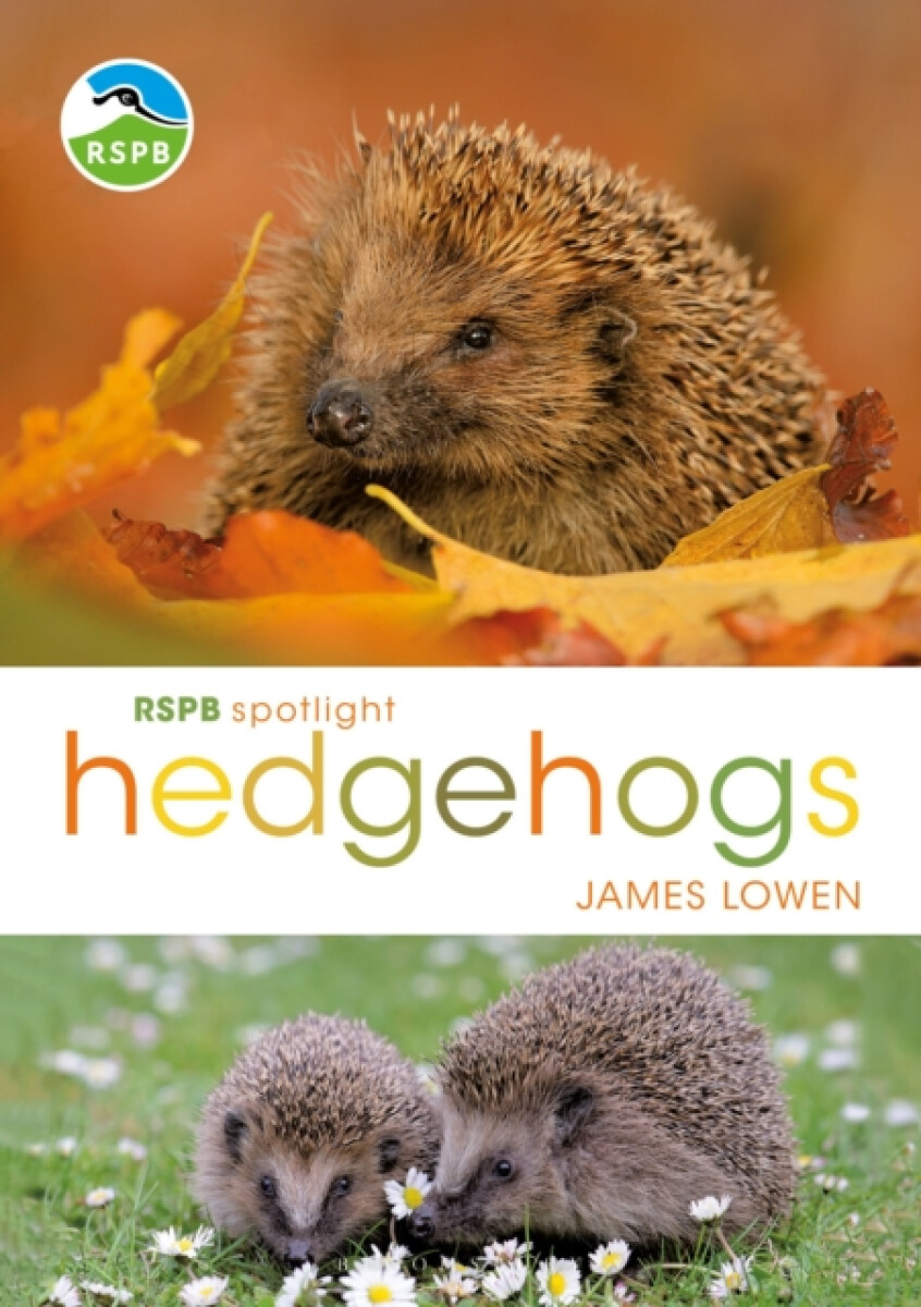Kniha RSPB Spotlight Hedgehogs