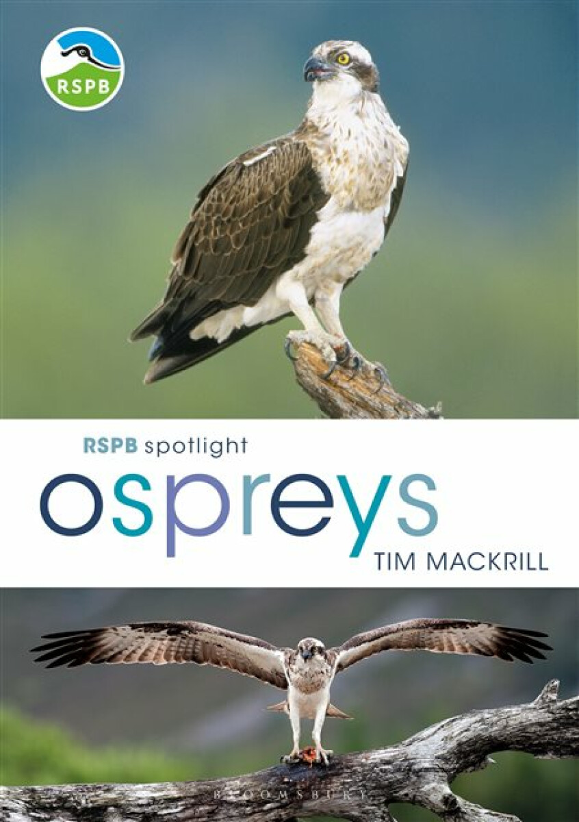 RSPB Spotlight Ospreys - Tim Mackrill