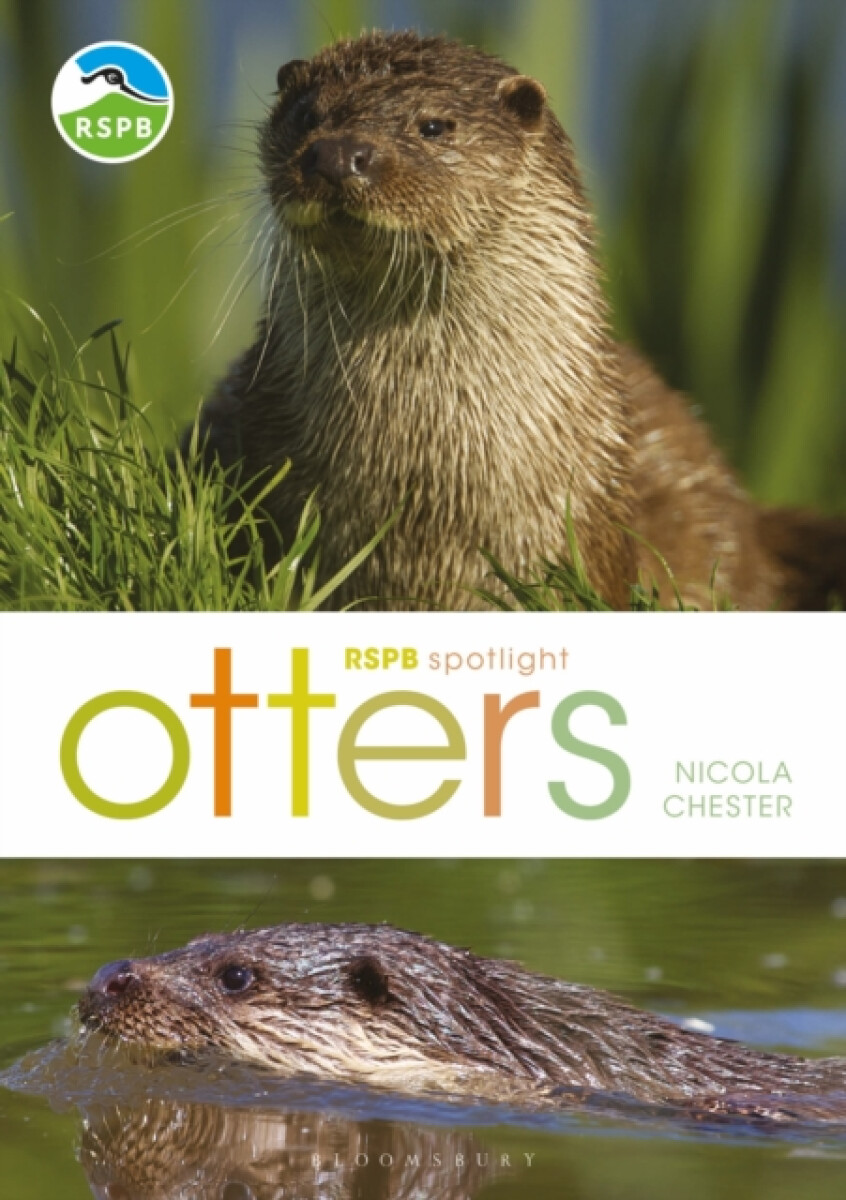 Kniha RSPB Spotlight: Otters