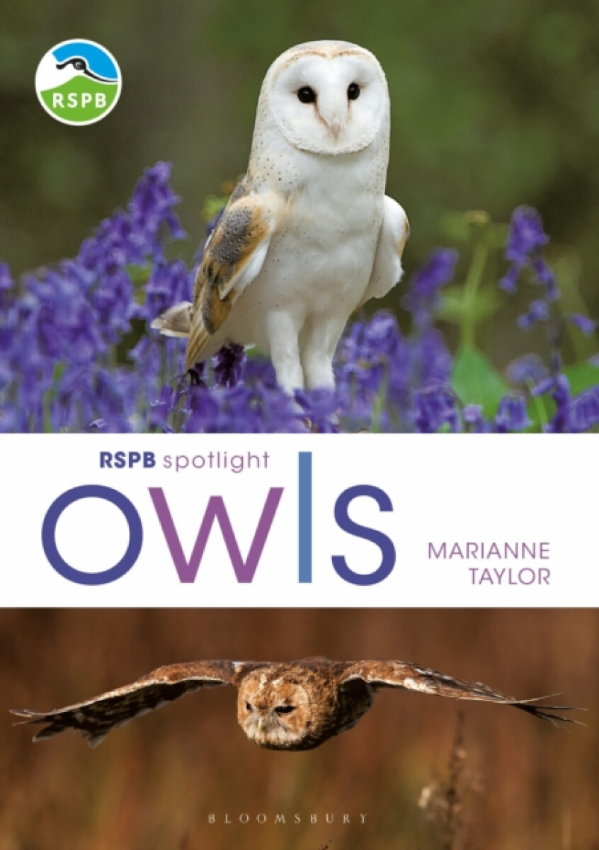 Kniha RSPB Spotlight Owls