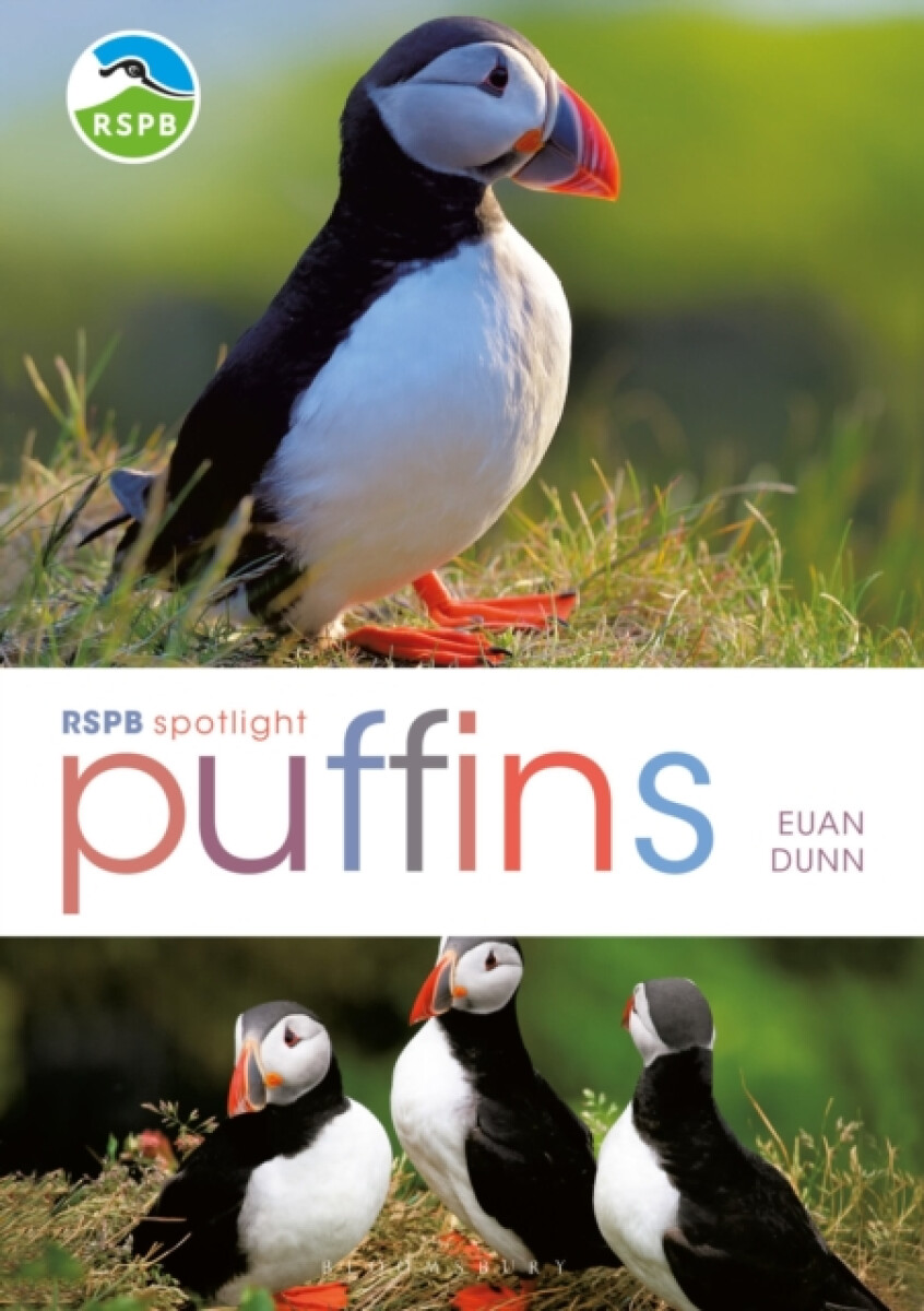 Kniha RSPB Spotlight: Puffins