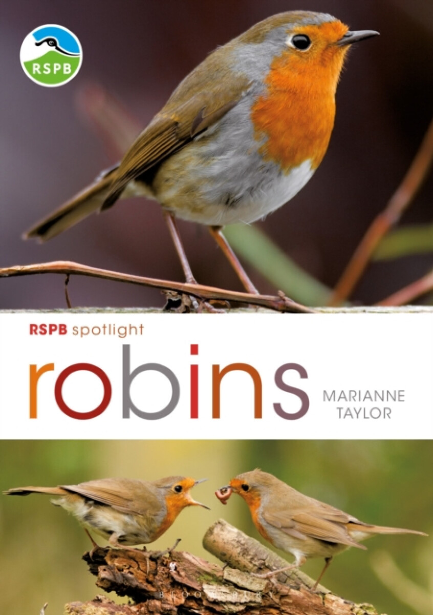 Recenze RSPB Spotlight: Robins | Knihy Dobrovský