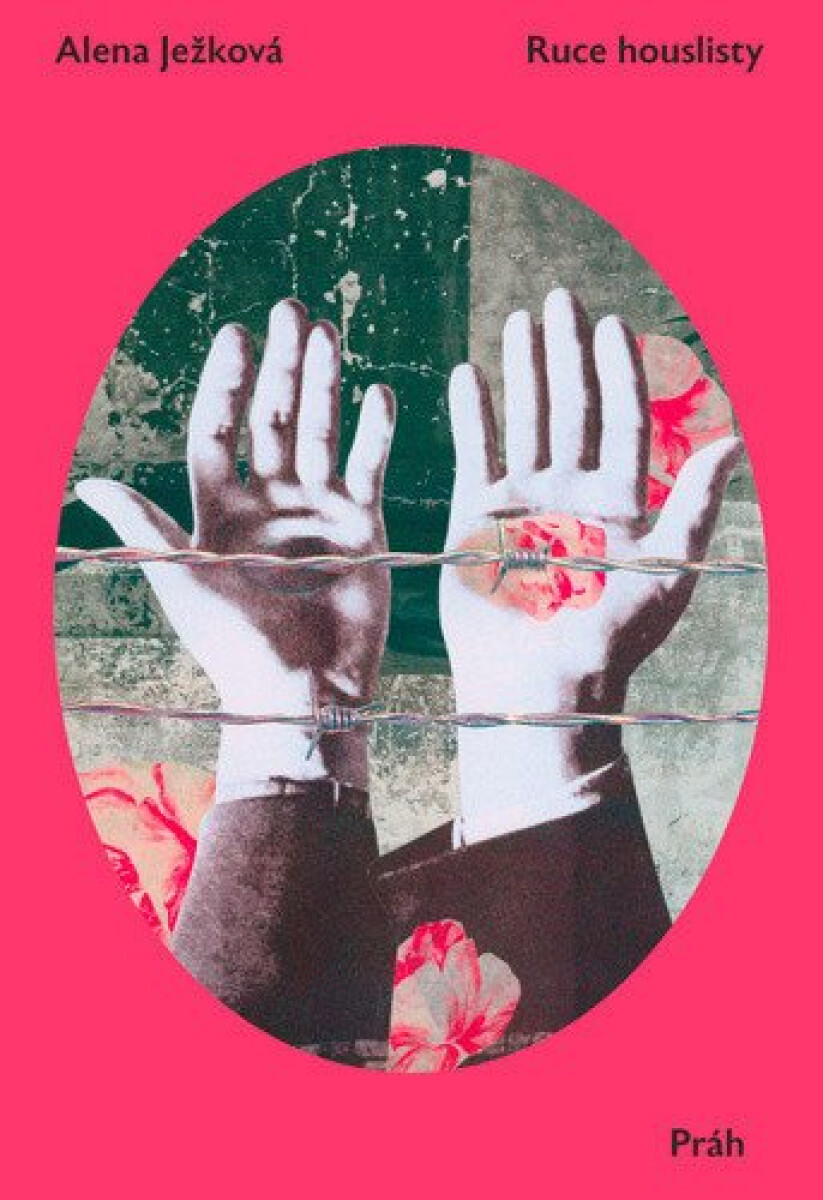 Kniha Ruce houslisty