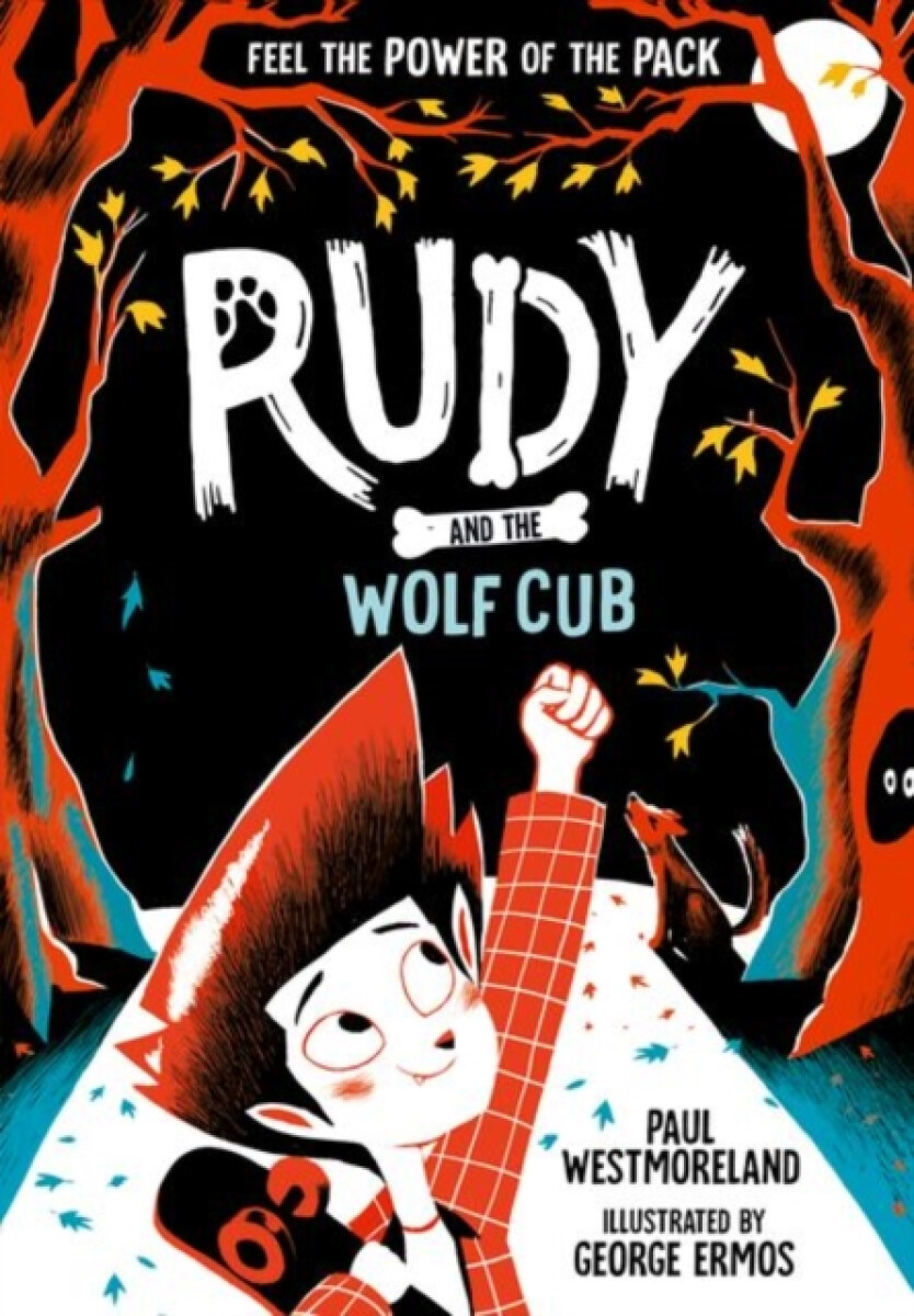 Kniha Rudy and the Wolf Cub
