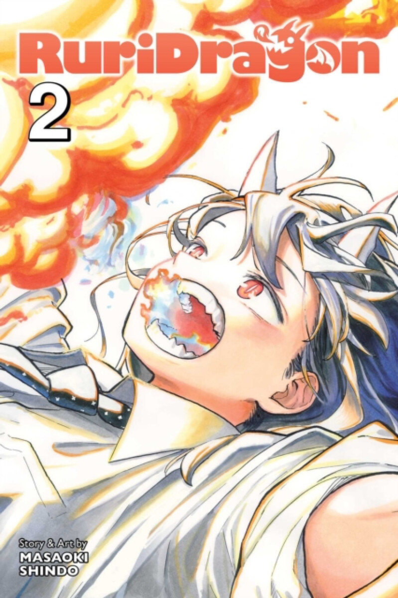 Kniha RuriDragon, Vol. 2