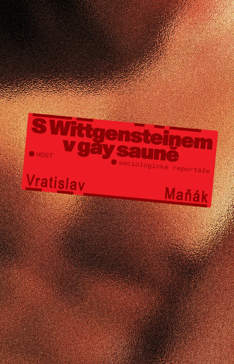 S Wittgensteinem v gay sauně - Vratislav Maňák