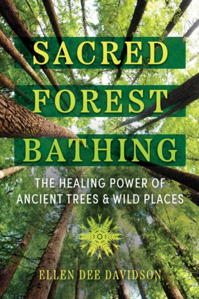 Kniha Sacred Forest Bathing