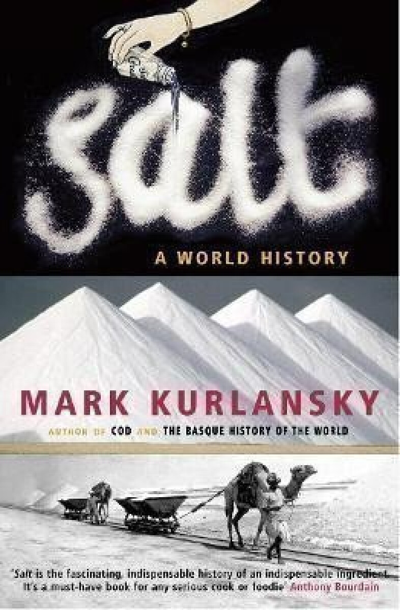 Kniha Salt