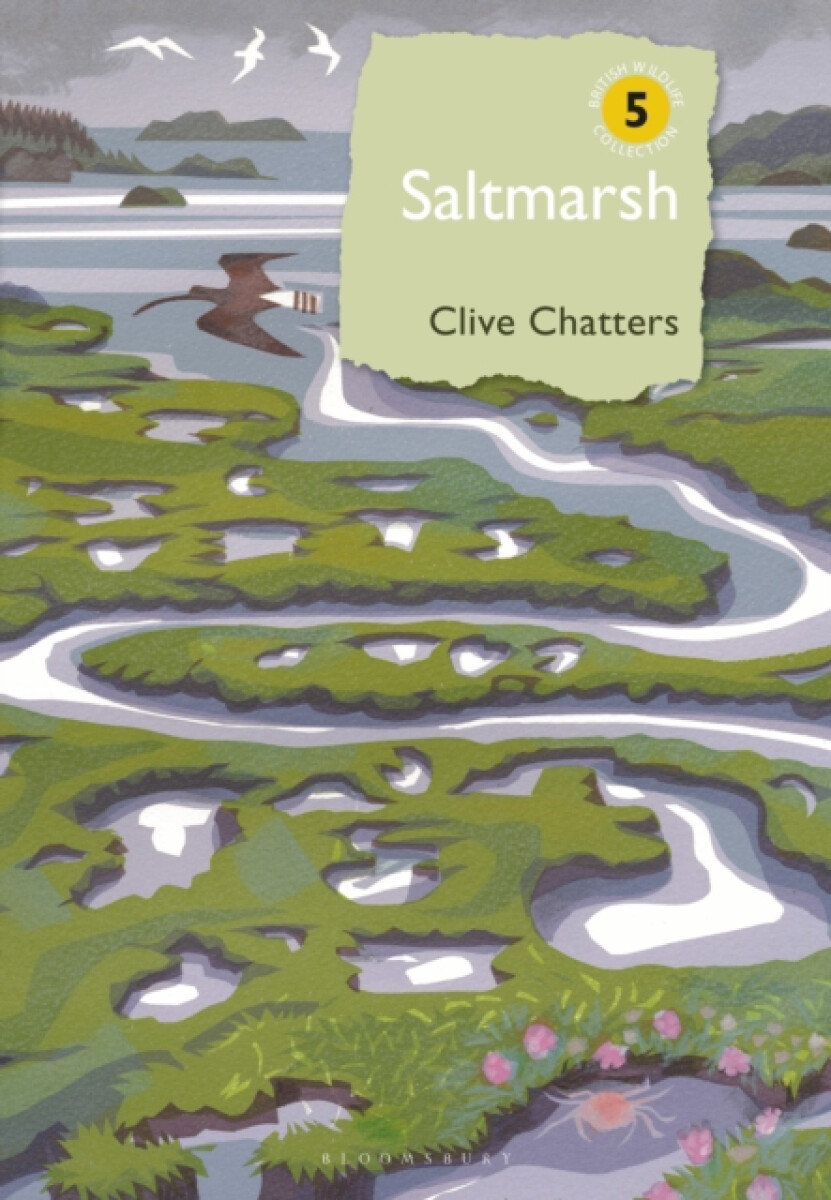 Kniha Saltmarsh