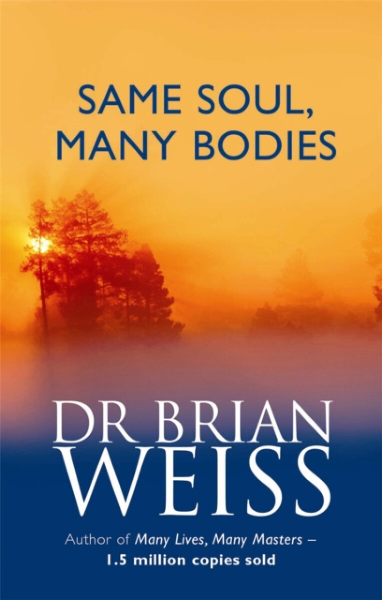 Kniha Same Soul, Many Bodies