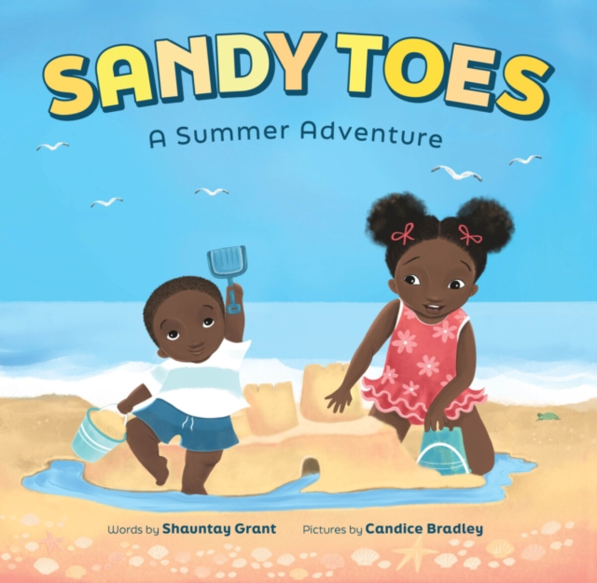 Kniha Sandy Toes: A Summer Adventure (A Let's Play Outside! Book)