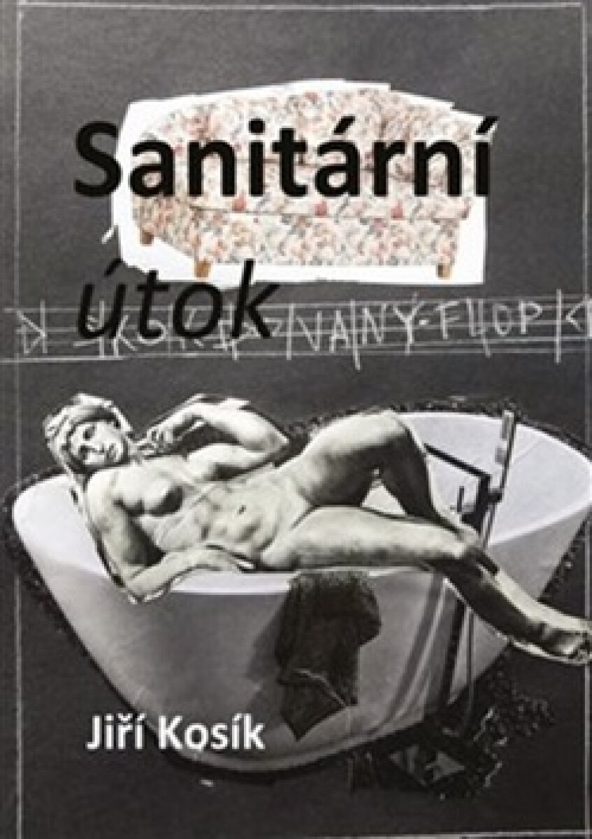 Kniha Sanitární útok