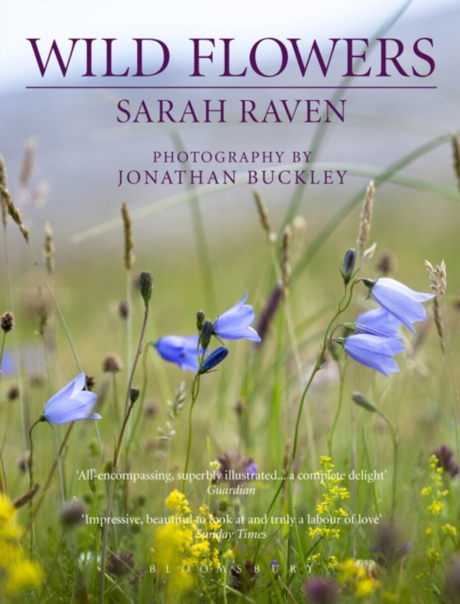 Kniha Sarah Raven's Wild Flowers