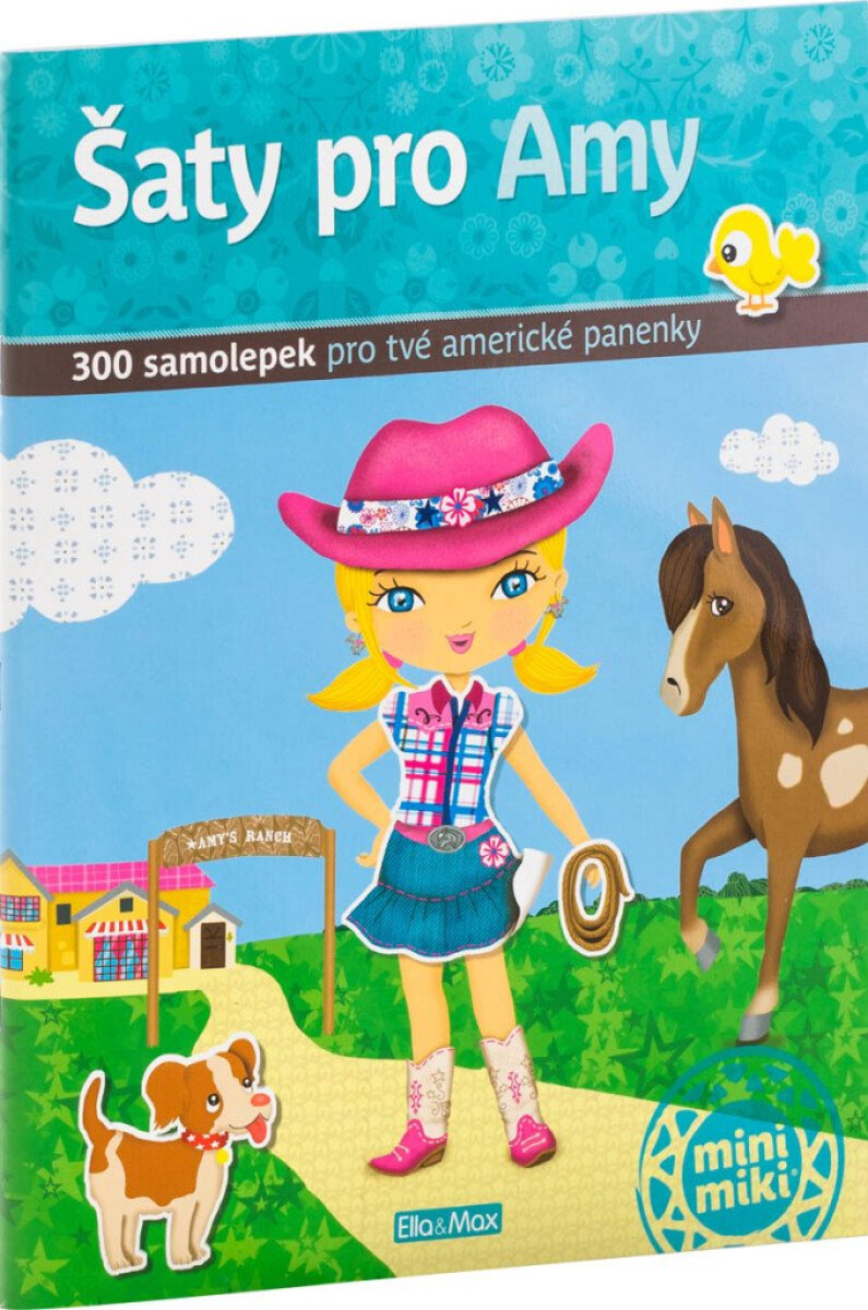 Kniha Šaty pro Amy