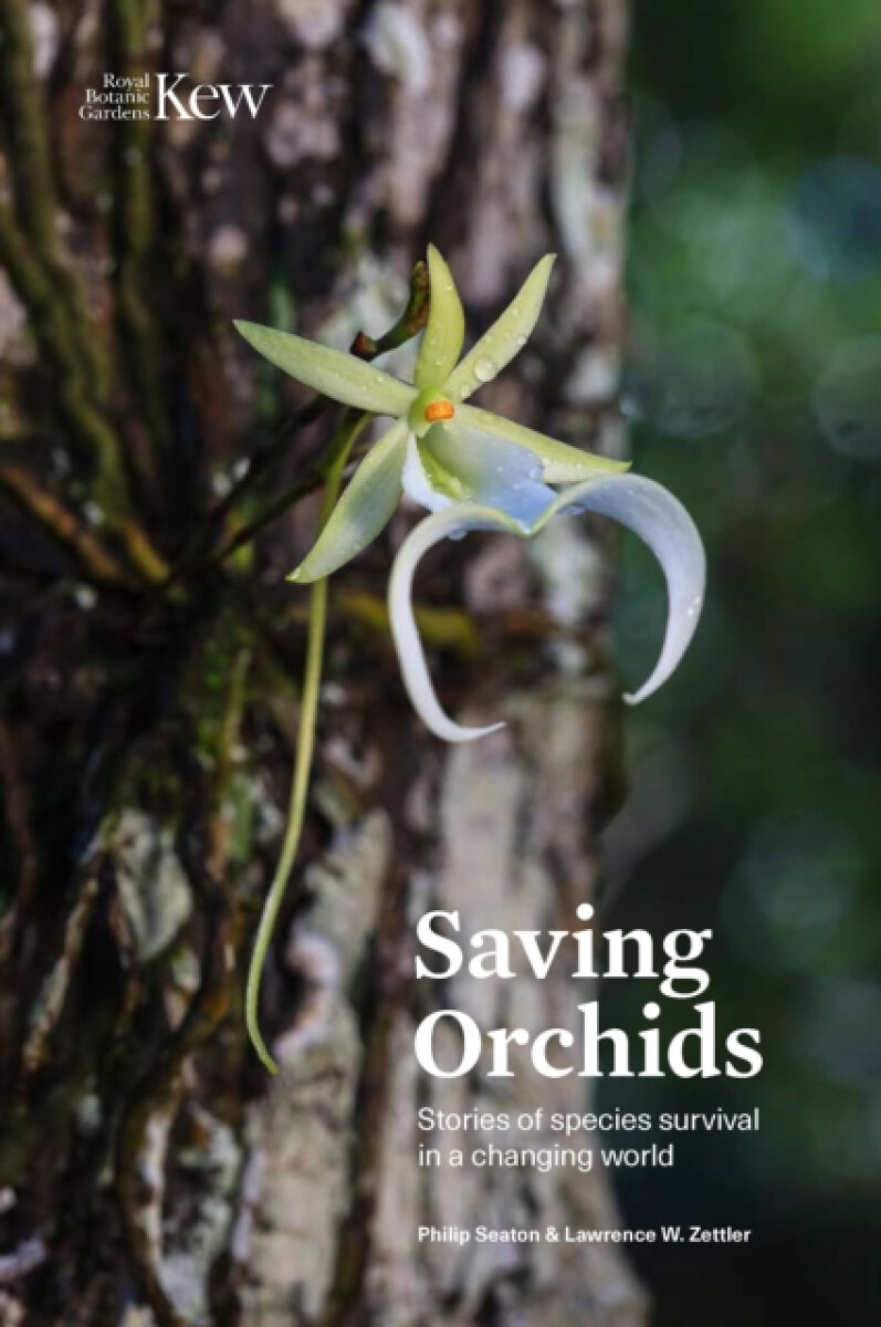 Kniha Saving Orchids