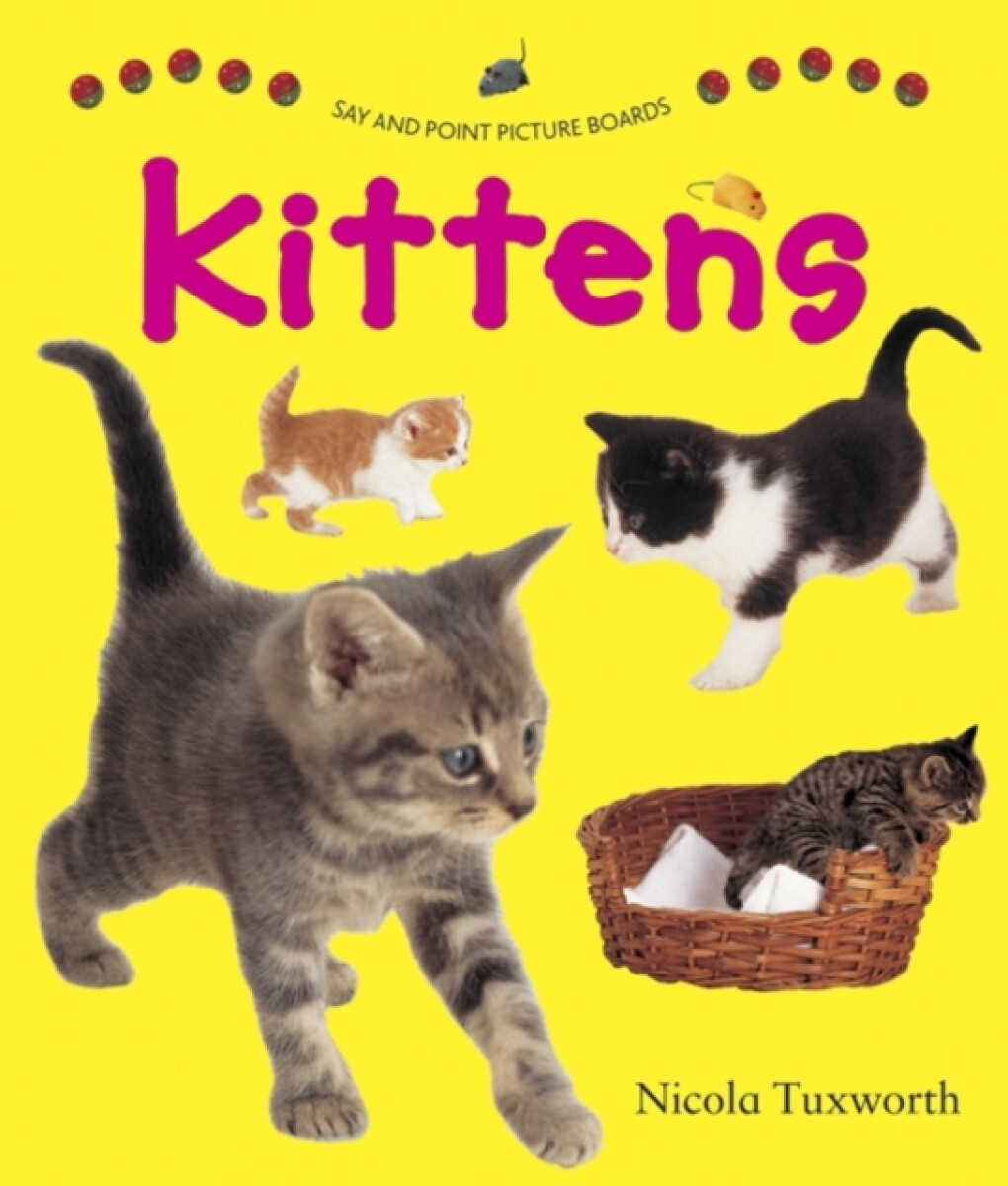 Kniha Say and Point Picture Boards: Kittens