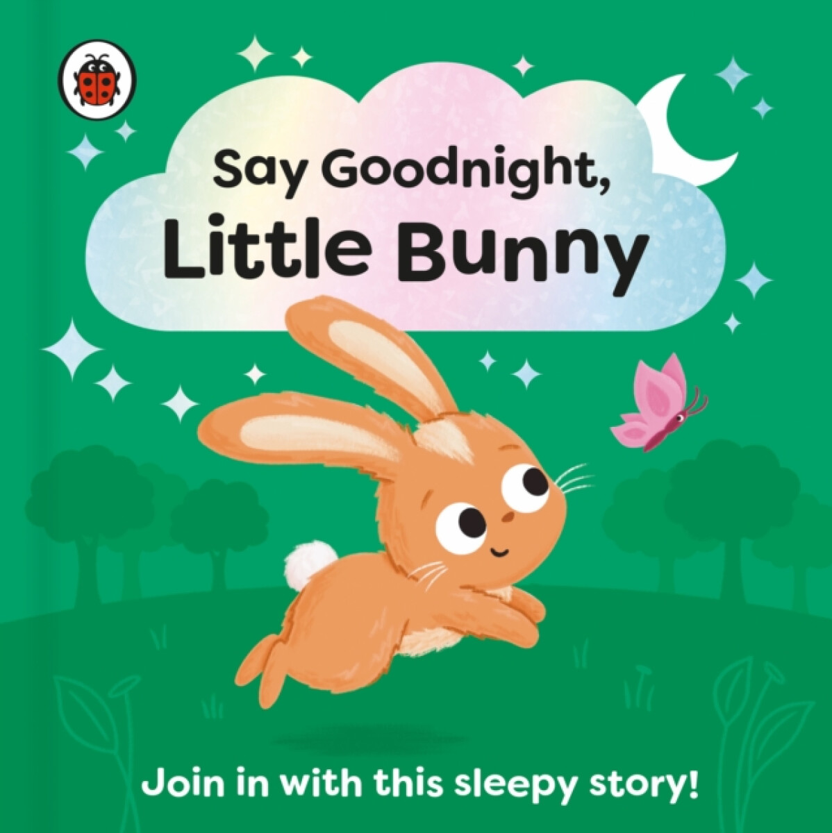 Kniha Say Goodnight, Little Bunny