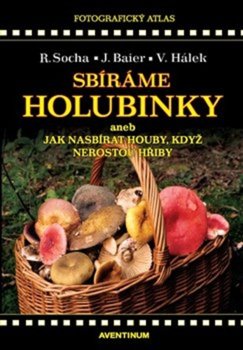 Kniha Sbíráme holubinky