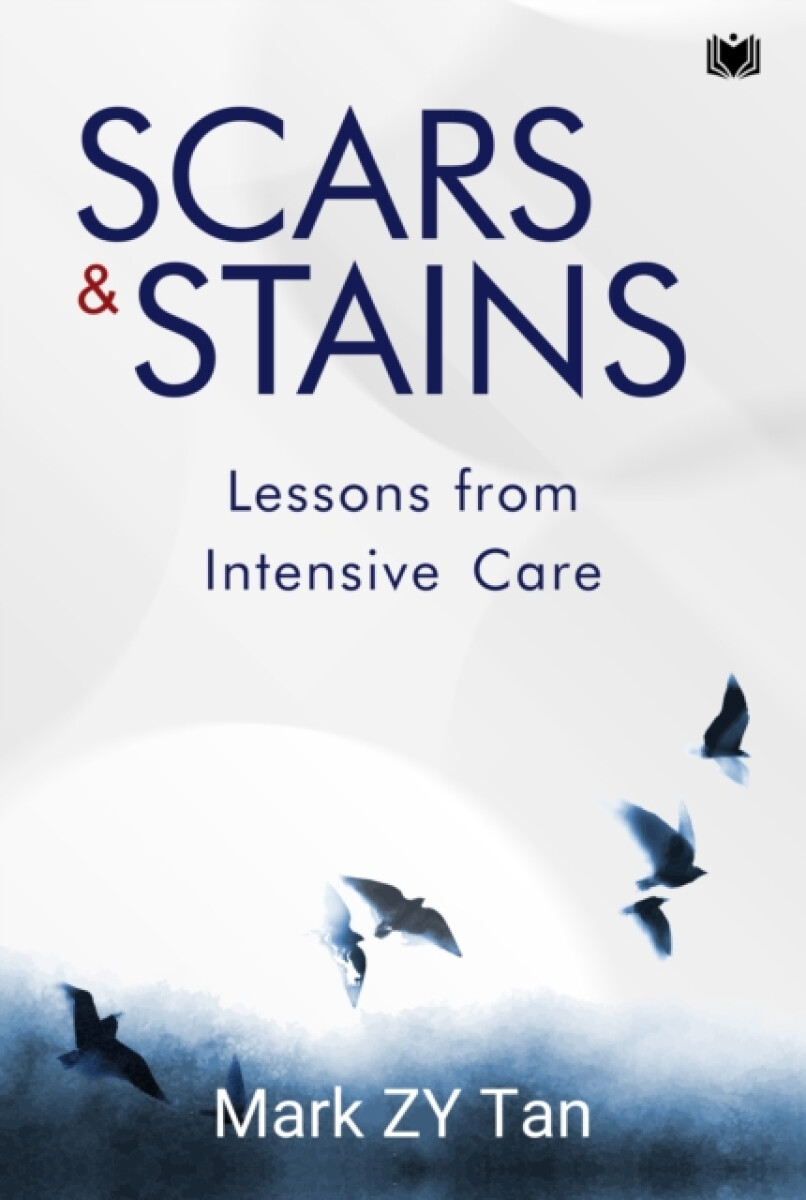 Kniha Scars a Stains