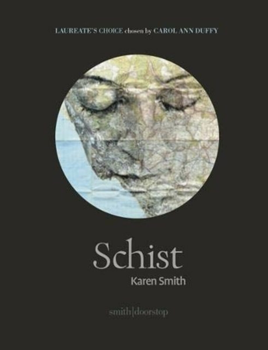 Kniha Schist