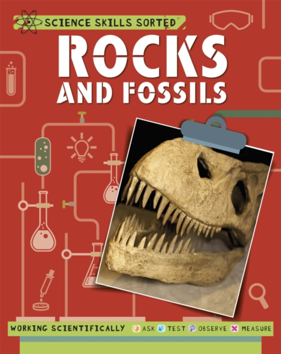 Kniha Science Skills Sorted!: Rocks and Fossils
