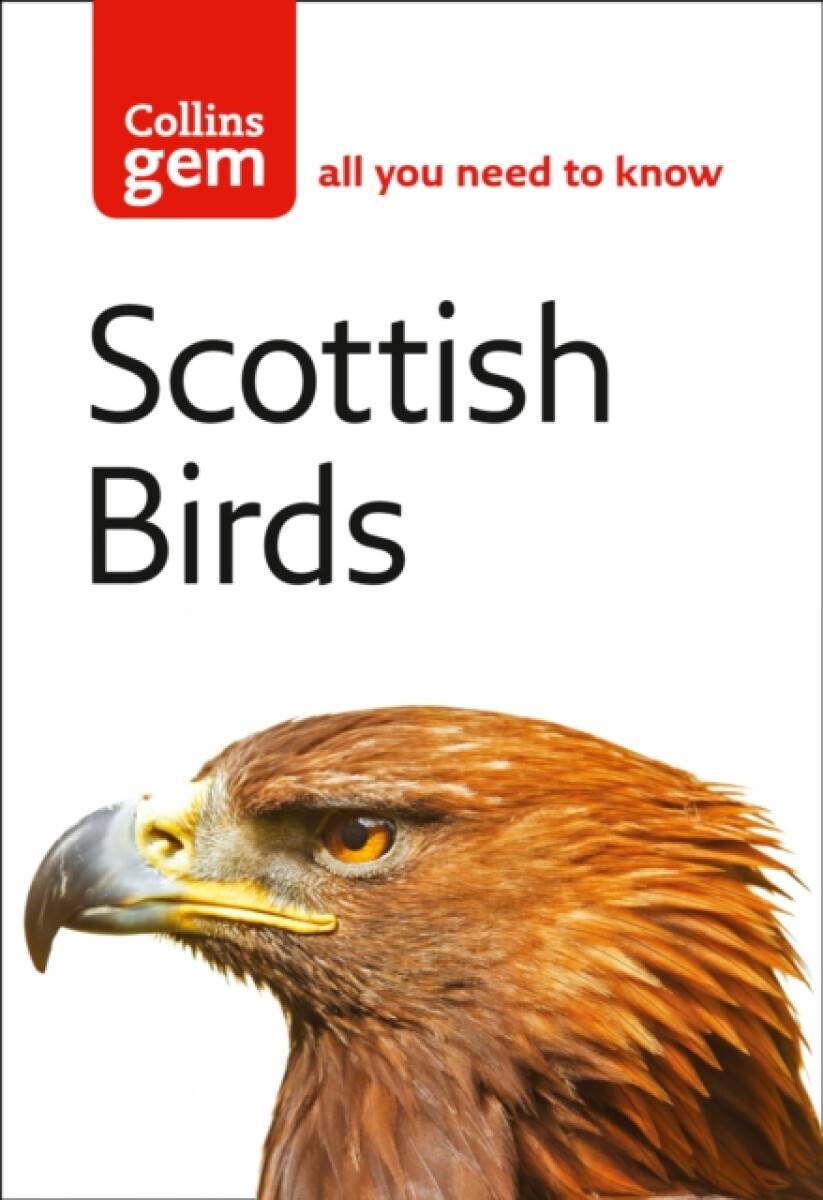 Kniha Scottish Birds