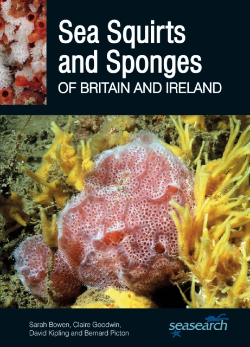 Kniha Sea Squirts and Sponges of Britain and Ireland