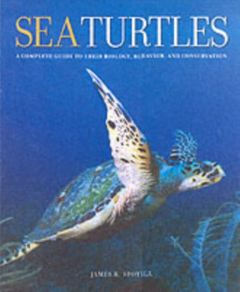 Kniha Sea Turtles