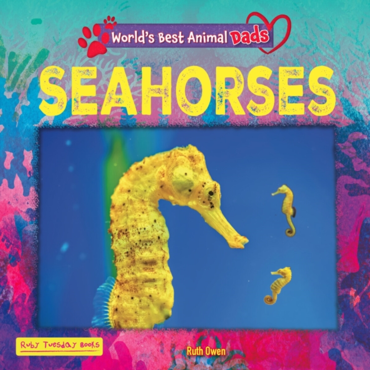 Kniha Seahorses
