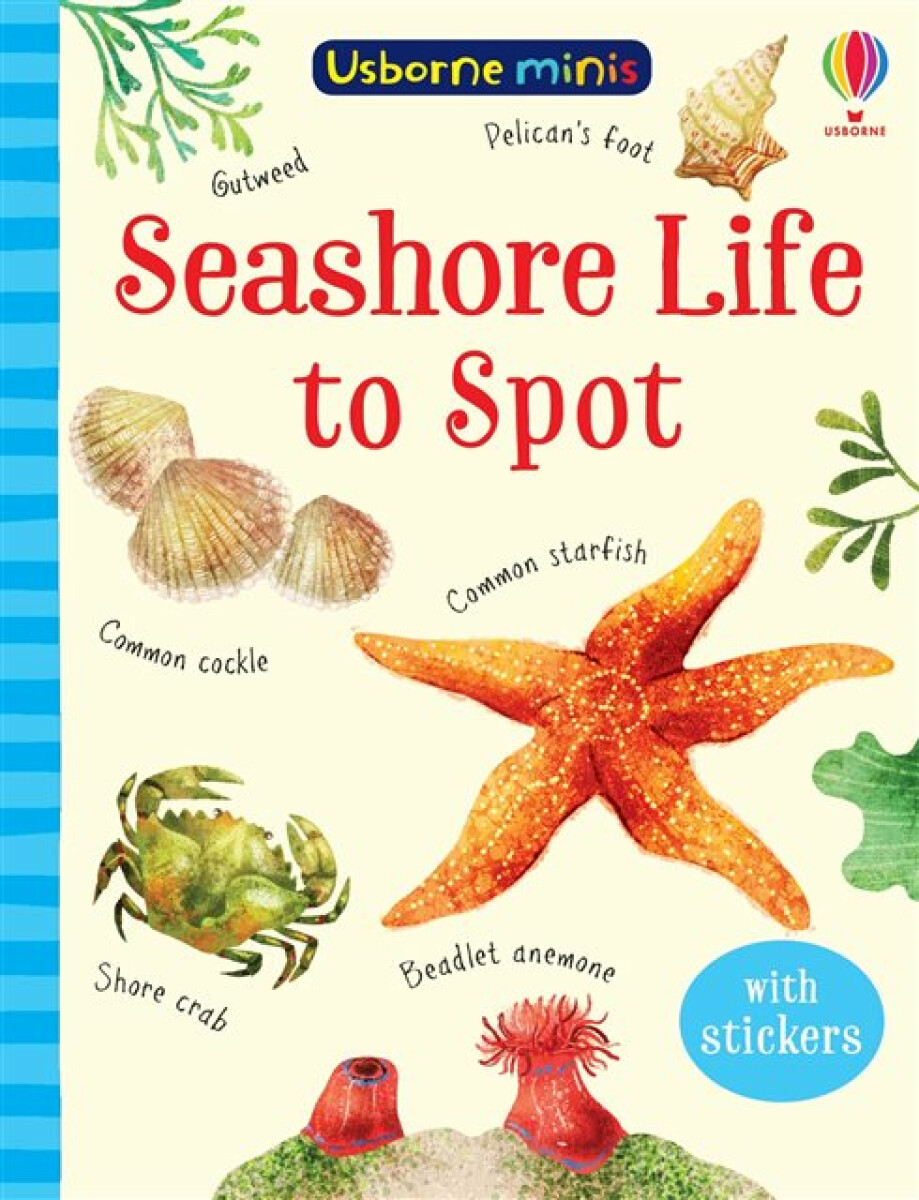 Kniha Seashore Life to Spot