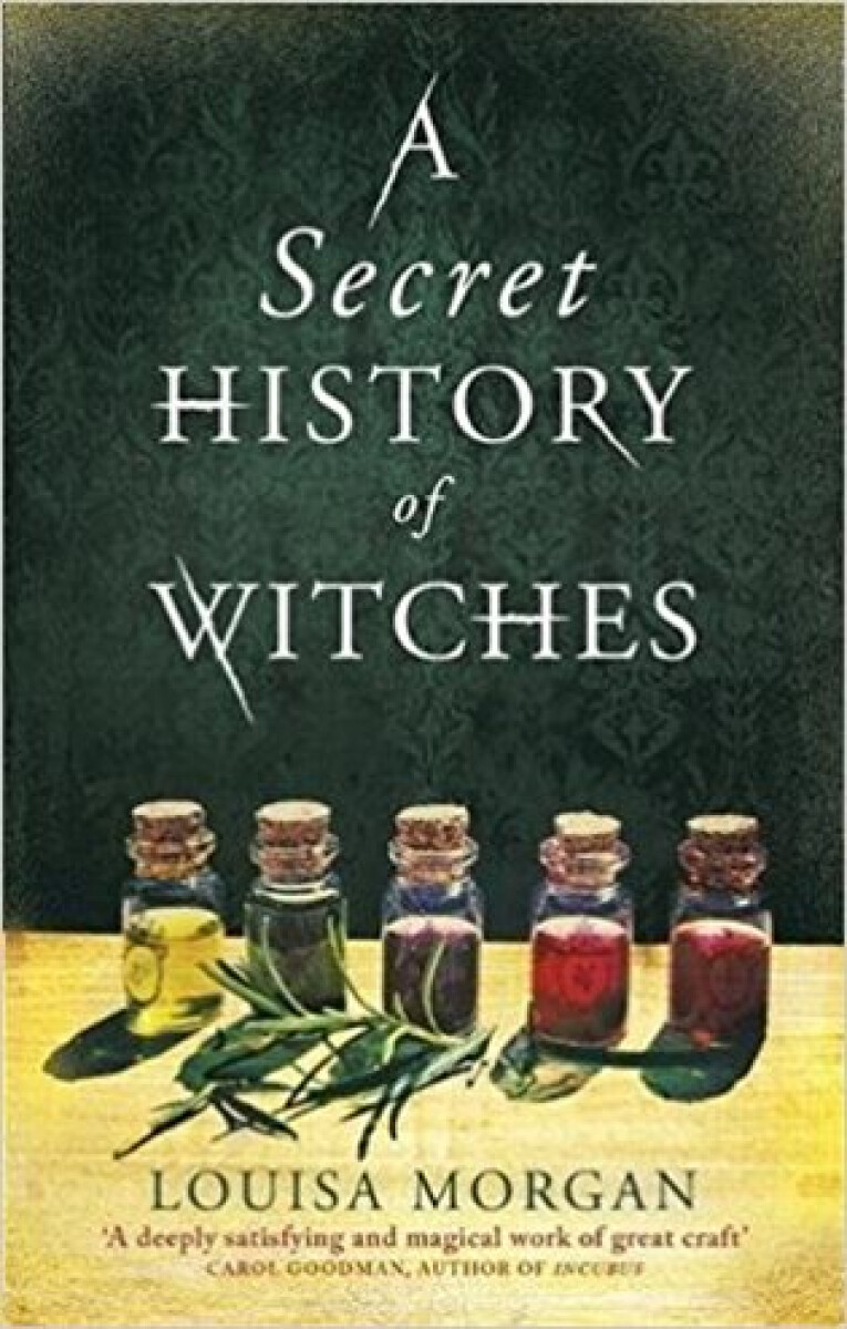 Kniha Secret History of Witches