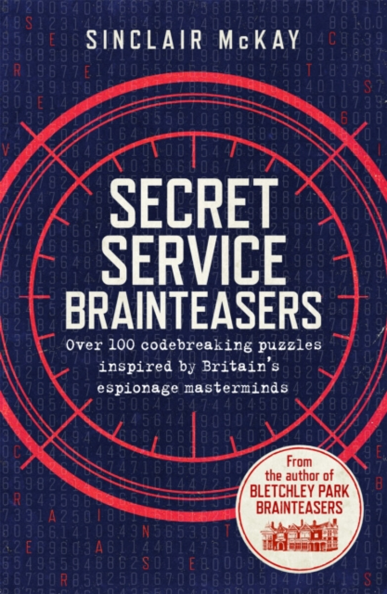 Kniha Secret Service Brainteasers