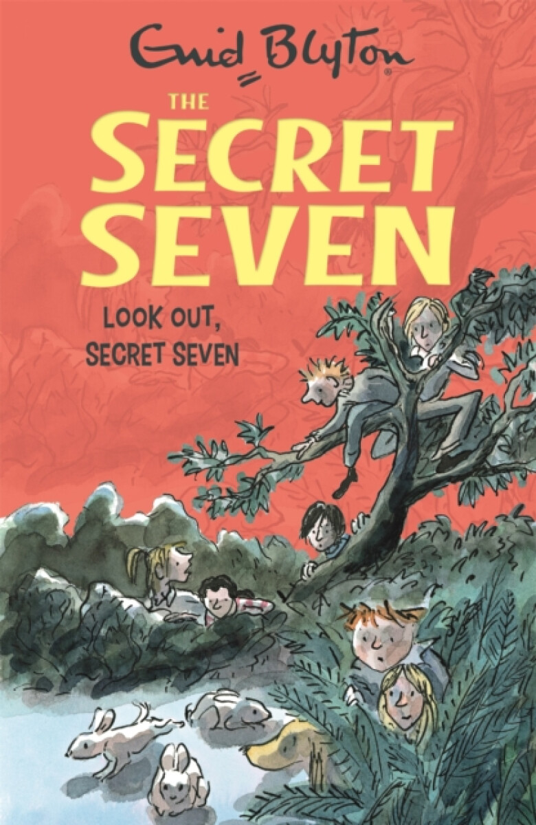 Kniha Secret Seven: Look Out, Secret Seven