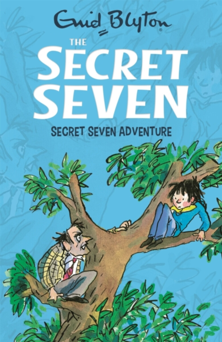 Kniha Secret Seven: Secret Seven Adventure